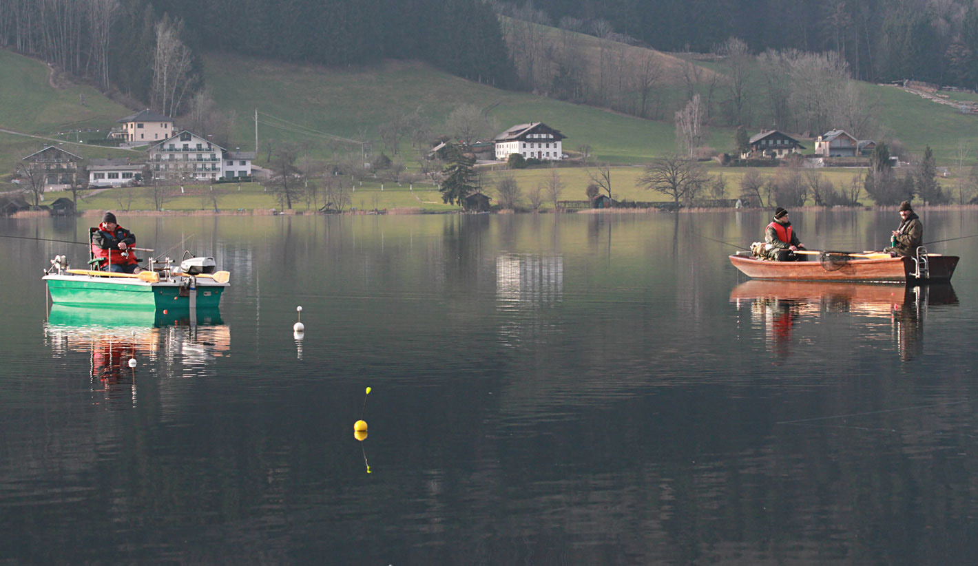 bild8-renkenschwimmer