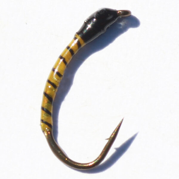nymphe-nr-59